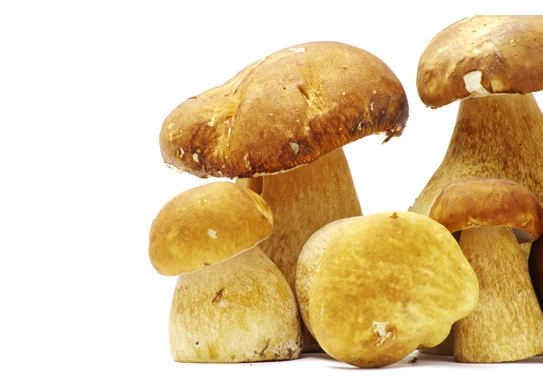 ergothioneine