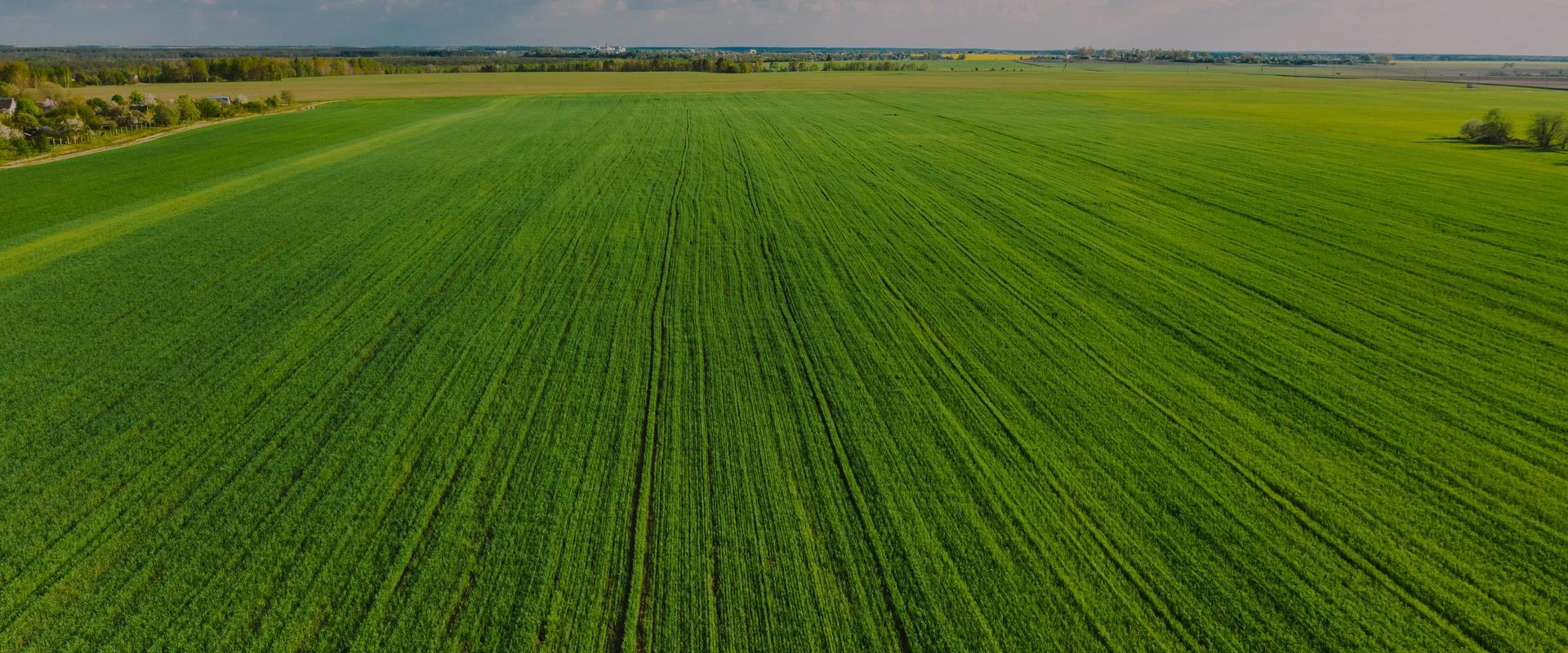 Bio-Pesticide/Feed
