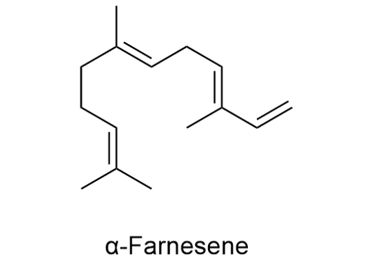 α-Farnesene