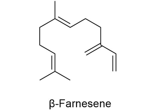 β-Farnesene