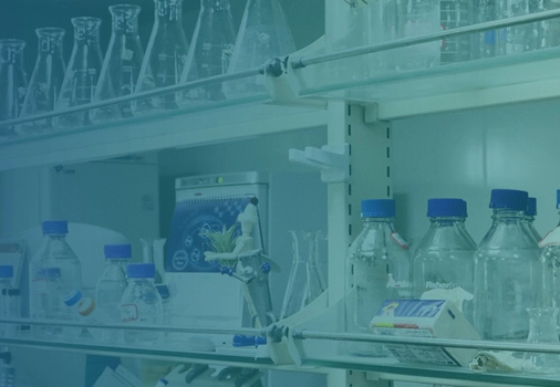 Congratulations on the launch of the website of Wuhan Hesheng Technology Co., Ltd.!