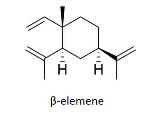 b elemene
